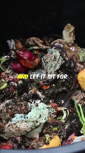 Bury This In Your Garden And Attract Thousands of Worms In Days 🌱| Seedly