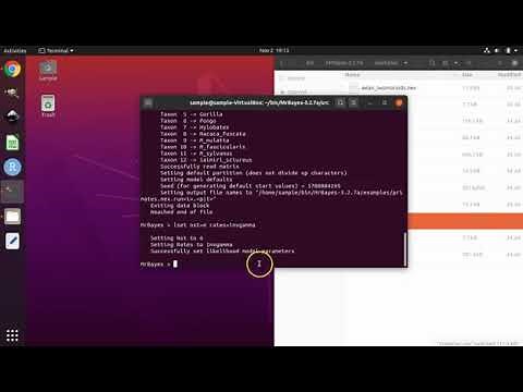 How to perform a Bayesian Markov Chain Monte Carlo-based phylogenetic analysis using MrBayes