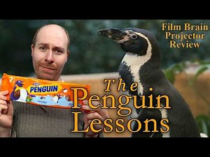 The Penguin Lessons (REVIEW) | Projector | Steve Coogan p-p-picks up a penguin