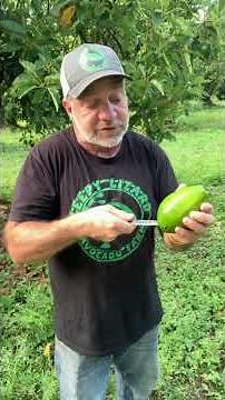 Three ways to keep your avocado from turning brown #farmlife #oxidation #avocado￼