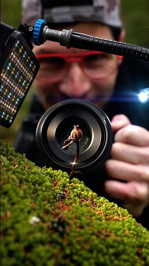 Controlling Light in Macro Photography