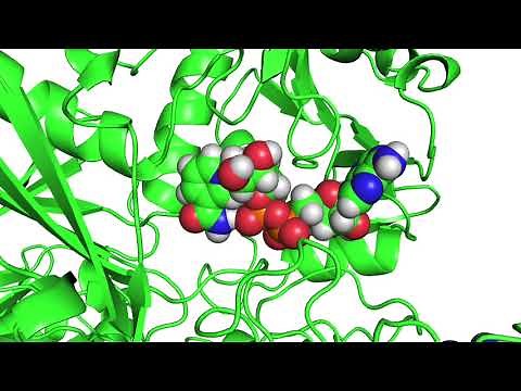 Ligand Reader & Modeler Tutorial 2 - Building Ligand Structure from PDB file