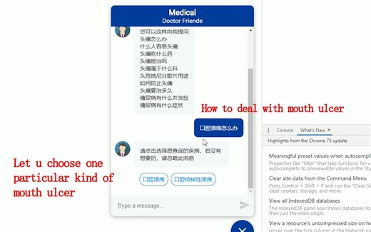 Rasa医疗问答Doctor-Friende效果演示视频