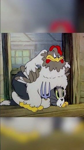 That Chicken is Riding a Tom-Rodeo 🐔 🍴#TomandJerry #ClassicCartoons #Cartoonito #shorts