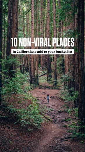 10K views · 152 reactions |  Follow & save this for more underrated...