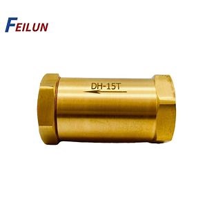 [Hot Item] Dh-15t Low Temperature NPT1/2 Thread Copper Check Valve