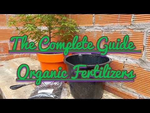 The Complete Guide To Cannabis Organic Fertilizers. How to Add Organic Fertilizers to Marijuana.