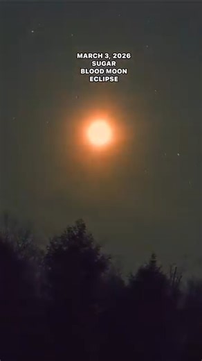 Total Lunar Eclipse March 3, 2026. The full Sugar Moon setting over Lake Superior during a blood moon/lunar eclipse. The March full moon has a few other names including worm moon, crust moon and sap moon. #lunareclipse #fullmoon #sugarmoon #wormmoon #lakesuperior #nightsky #stargazing | Superior Wilds