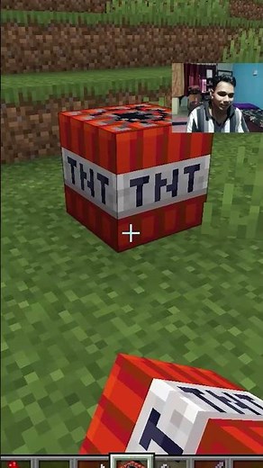 Parrots can mimic in minecraft🦜 #shorts