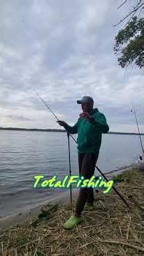 Safe launch on the Danube!