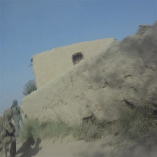 Combat Cloth (@combat.cloth)’s video of keaton oaks treaty oak