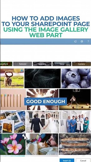 How to add images to your SharePoint page using the Image Gallery Web Part