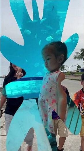 Cebu Family Vacation | Cebu Ocean Park, Safari Adventure & Solea Mactan Resort #cebucity #travel