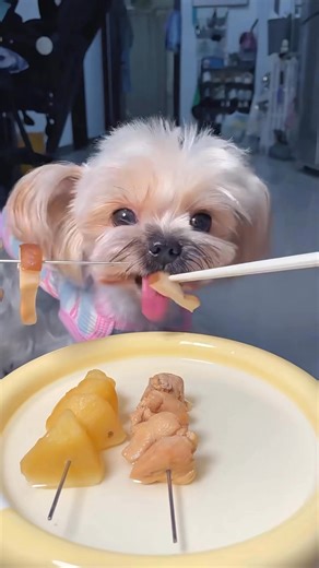 12K views · 363 reactions | Hungry ♥️襤 | Sam | Facebook