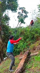 #viralreelschallenge #memes 😂 no jsjs | Sebas Hazak