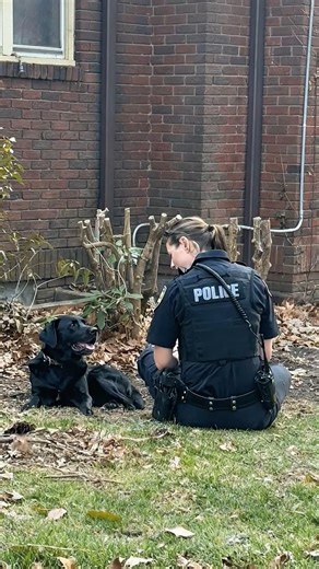 49K views · 1K reactions | This frightened dog wouldn't let anyone near her until a kind officer showed her love  | Dog Lovers United | Facebook