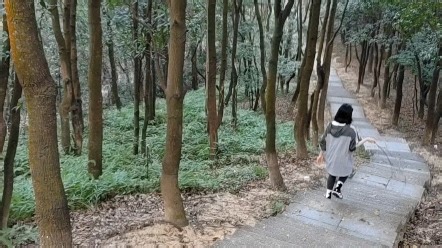 python游戏搬砖秘诀（身体篇）