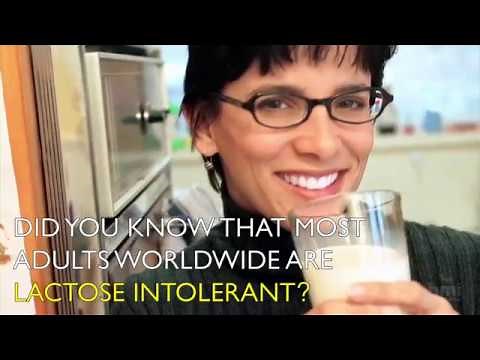 Evolution Story in a Minute: Got Lactase? | HHMI BioInteractive Video