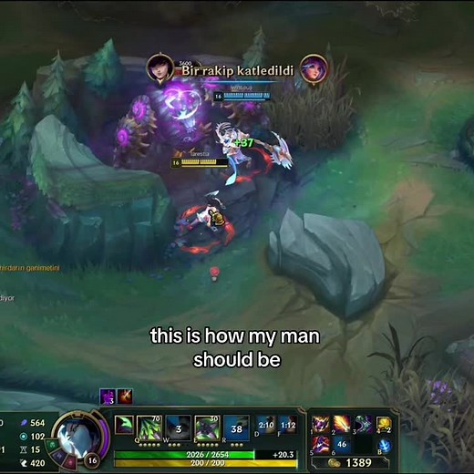 good boy #leagueoflegends #akali #kayn