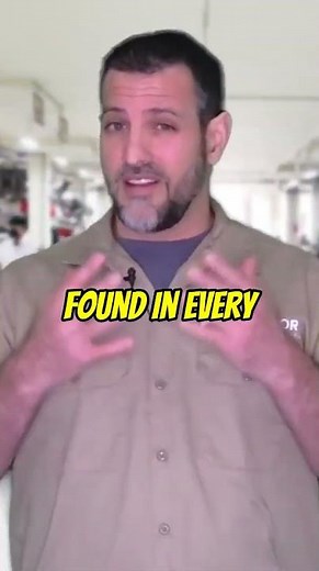 The Trainer #160 is live, hit the link for the full video!