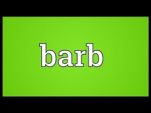 Barb Meaning