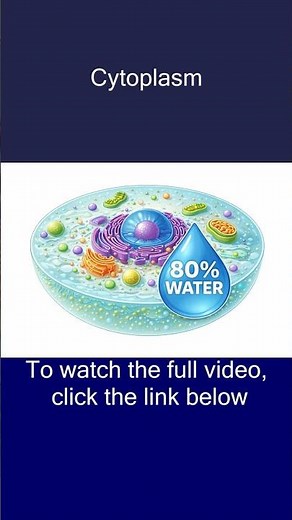 What is Cytoplasm | 80% of Cell is Liquid #neet #science #chemistry #biology