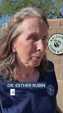 New study shows feral burros are devastating Sonoran Desert plant species