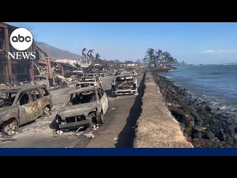 Devastation in Maui from largest wildfire in Hawaii's history | WNT