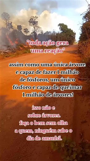 #gratidão #boanoite