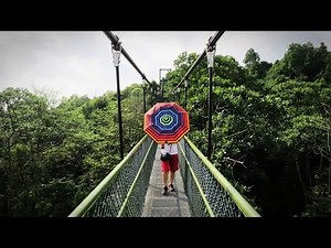 TreeTop Walk, MacRitchie Walking Trails (SINGAPORE) *Photos&Videos*