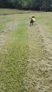 Homeless (placeholder) | Cutting Edge Engineering Australia