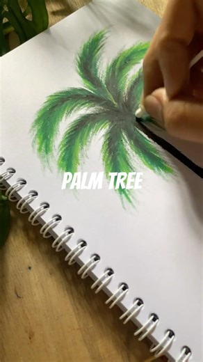 Drawing a Coconut Tree