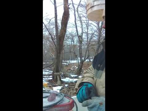 Electrical Issues Fixed. . . I THINK 🤔