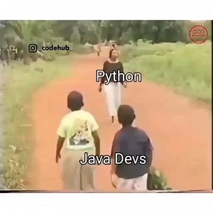 These guys are hilarious 😂😆🤪 | Programming Jokes
