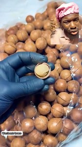125K views · 428 reactions | This is how to open macadamia nuts. | worrisontv lovers | Facebook