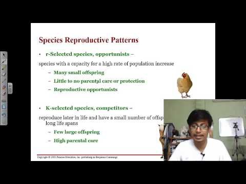 r and k selected species