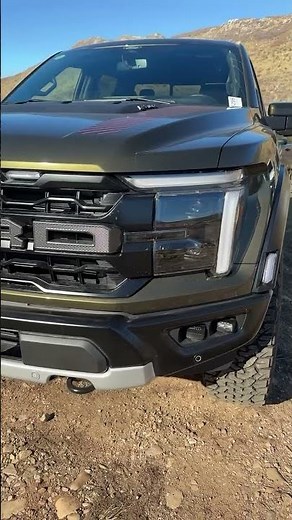 All The Raptor You Need!