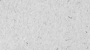 Download Paper texture background V4 for free