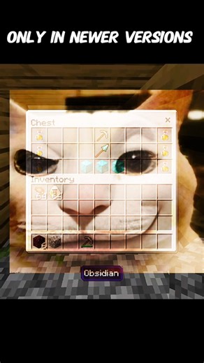 Only in newer versions 😂|| Minecraft shorts