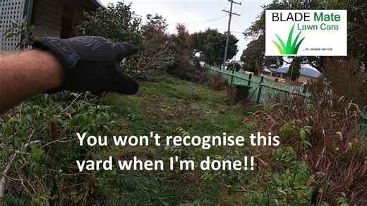 More Than a Makeover: A Backyard Archaeology Adventure Begins