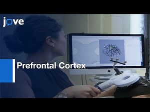 Magnetic Stimulation and EEG of Prefrontal Cortex | Protocol Preview
