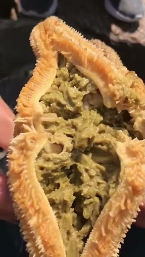 Grilled Star fish # Yummy # Spicy # Stone cooking