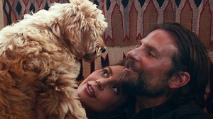 The True Story Behind the Final Scene of  'A Star Is Born' Will Make You Cry All Over Again