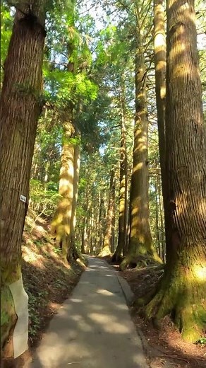 Summer Hike on Mount Mitake 🌲🥾