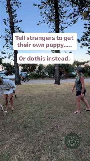 How do I stop people running up to my puppy? I get asked this allllll the time. My advice: When you can’t control the environment, focus on what you can control: your connection with your dog. Set your pup up for success by teaching them that you are the source of all things good, not random people or dogs. It only took a couple of reps to show this pup how to check in and stay engaged. Suddenly, it was no longer a source of conflict or dragging them away… they chose to stay with their human. Wh