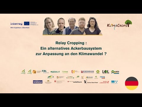 [DE] Doppelt säen – besser ernten ? Relay Cropping im Test