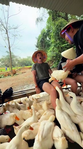 Lucky Duck Stop: A Vietnamese Horror Story?
