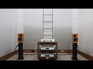 ProAc RESPONSE DB-1 With OCTAVE V-70SE