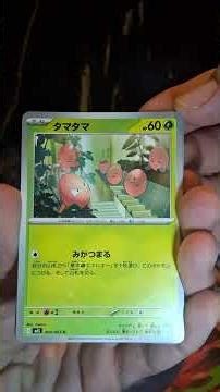 Mega Brave got me MEGA DISAPPOINTED… 😭 Holo Hariyama Pull