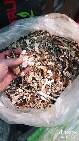 Ukrainos grybai 😜. #Ukraina #grybai #foryoupage #fypp #kemperis #kelionės #išpakavimas #unboxinam #fyp #foryou #nuotykiai #palyginimas